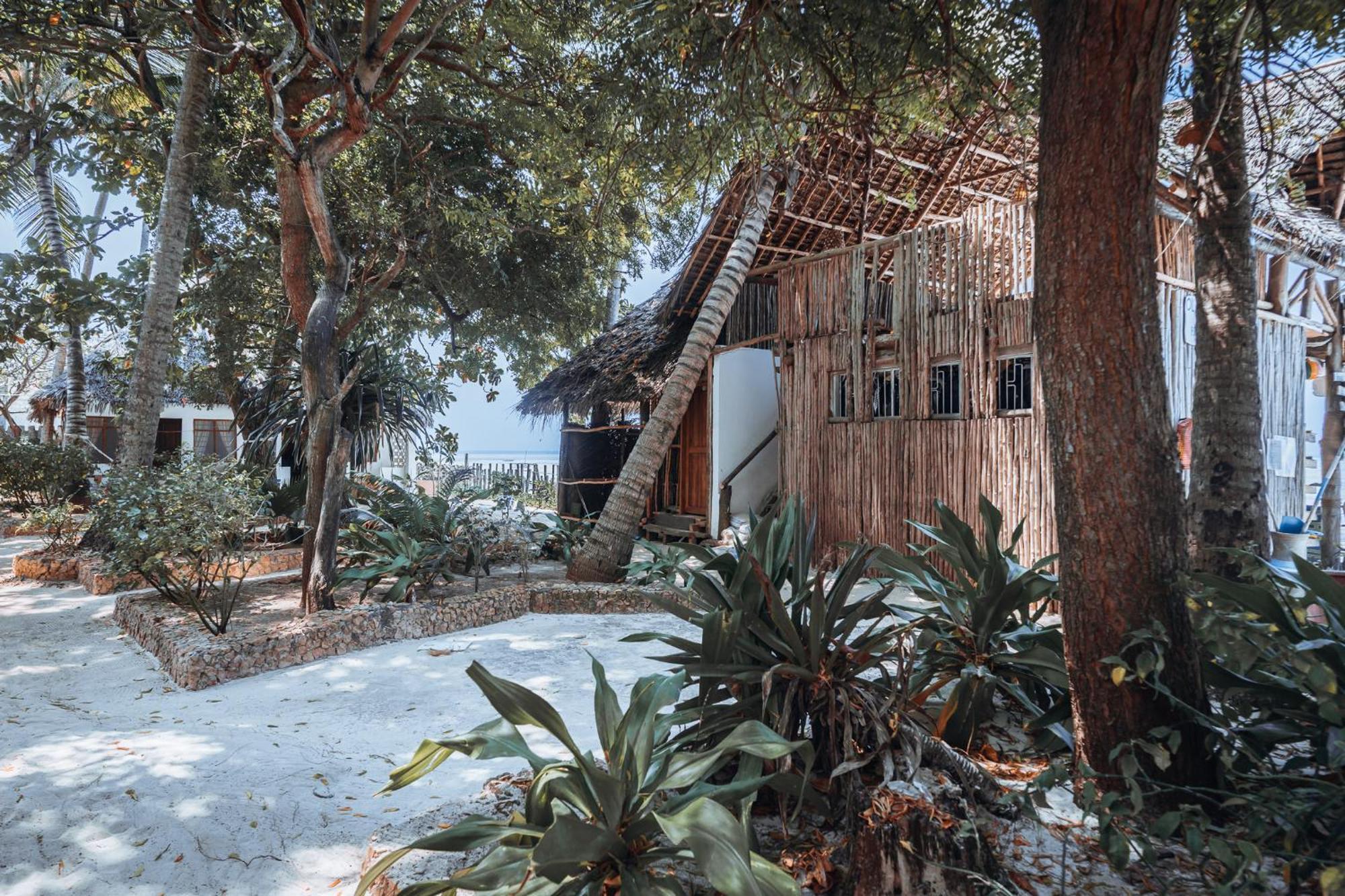 Pili Pili Beach Bungalows ジャンビアニ エクステリア 写真